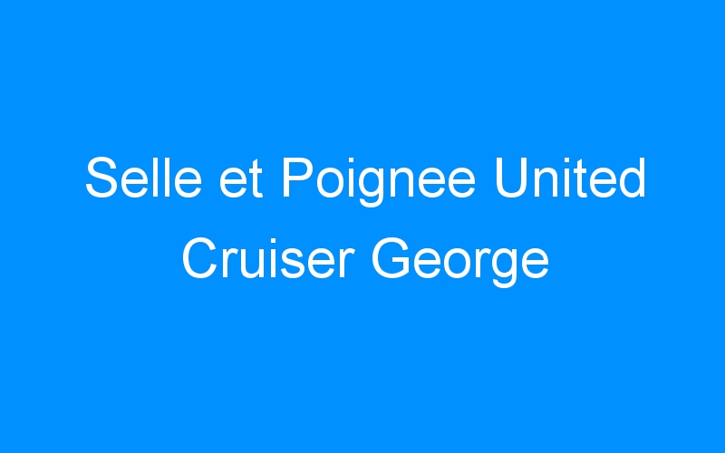 Selle et Poignee United Cruiser George