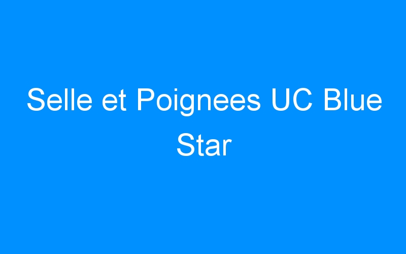 You are currently viewing Selle et Poignees UC Blue Star