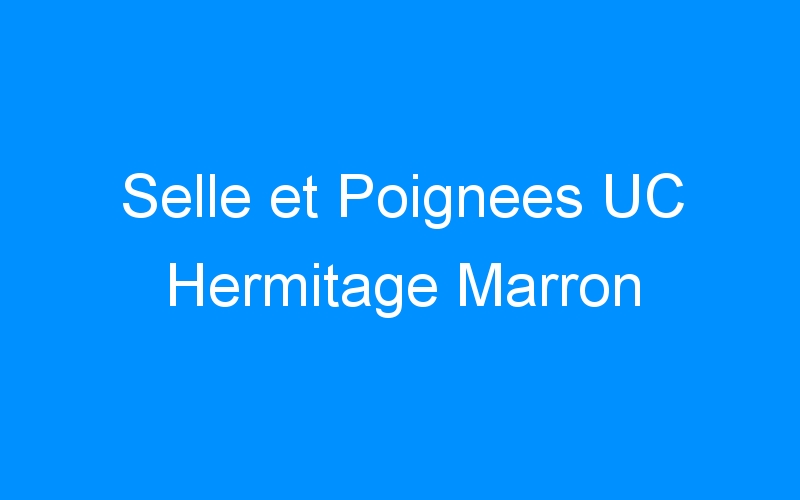 You are currently viewing Selle et Poignees UC Hermitage Marron