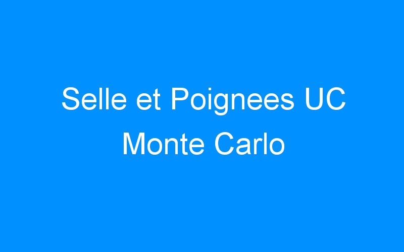 You are currently viewing Selle et Poignees UC Monte Carlo