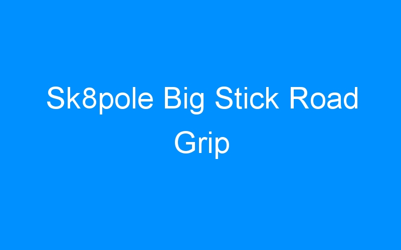 You are currently viewing Sk8pole Big Stick Road Grip