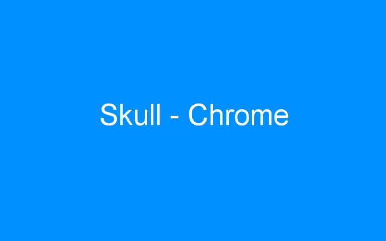 Lire la suite à propos de l’article Skull – Chrome