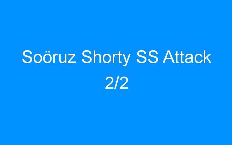 You are currently viewing Soöruz Shorty SS Attack 2/2