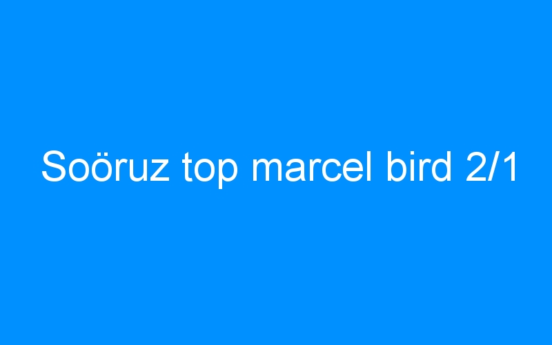 You are currently viewing Soöruz top marcel bird 2/1