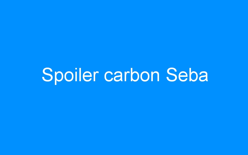 You are currently viewing Spoiler carbon Seba
