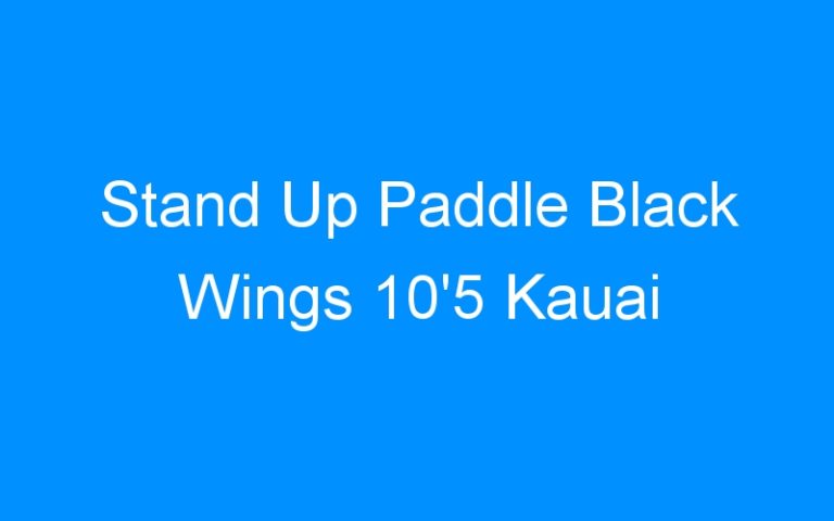 Lire la suite à propos de l’article Stand Up Paddle Black Wings 10’5 Kauai