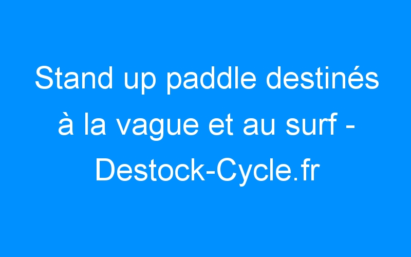 You are currently viewing Stand up paddle destinés à la vague et au surf – Destock-Cycle.fr