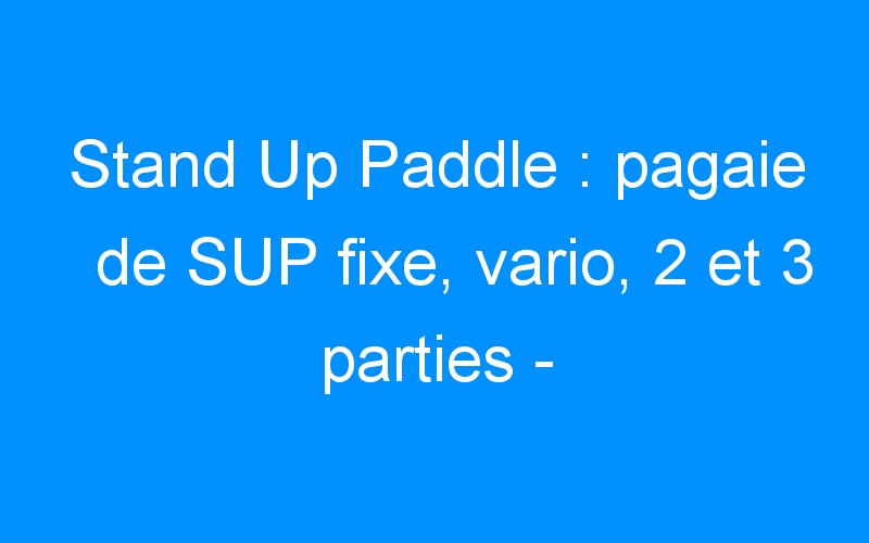 You are currently viewing Stand Up Paddle : pagaie de SUP fixe, vario, 2 et 3 parties – Destock-Cycle.fr