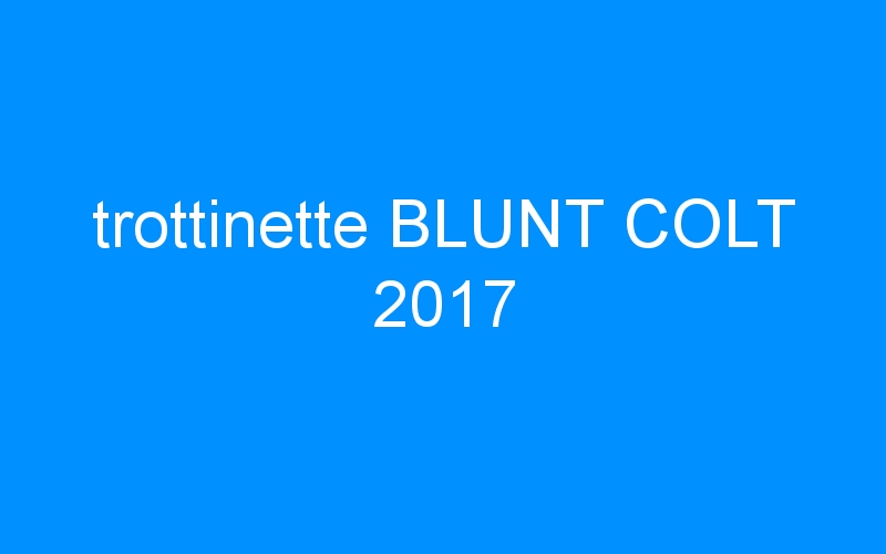 You are currently viewing trottinette BLUNT COLT 2017