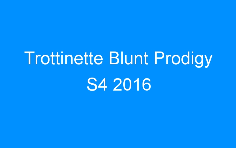 You are currently viewing Trottinette Blunt Prodigy S4 2016