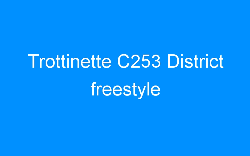 You are currently viewing Trottinette C253 District freestyle