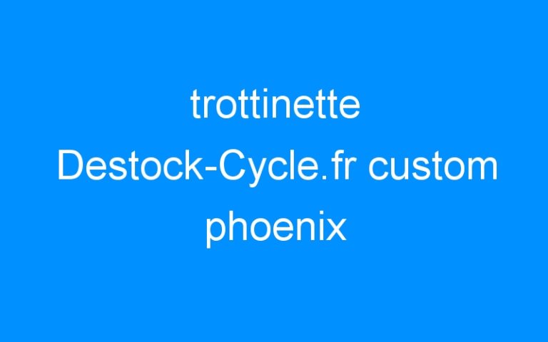 Lire la suite à propos de l’article trottinette Destock-Cycle.fr custom phoenix