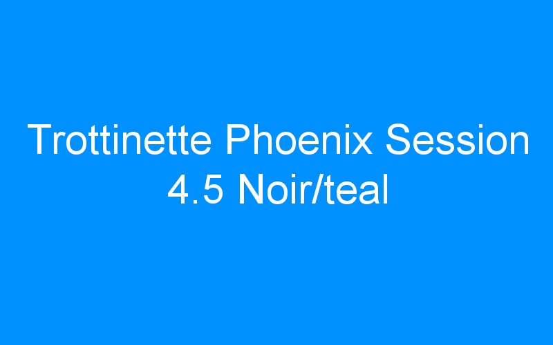 You are currently viewing Trottinette Phoenix Session 4.5 Noir/teal