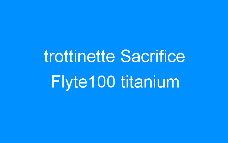 You are currently viewing trottinette Sacrifice Flyte100 titanium