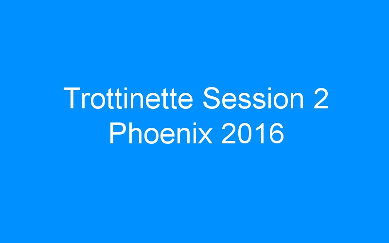You are currently viewing Trottinette Session 2 Phoenix 2016