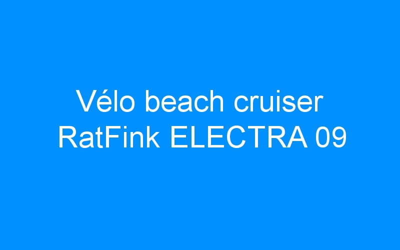 Vélo beach cruiser RatFink ELECTRA 09