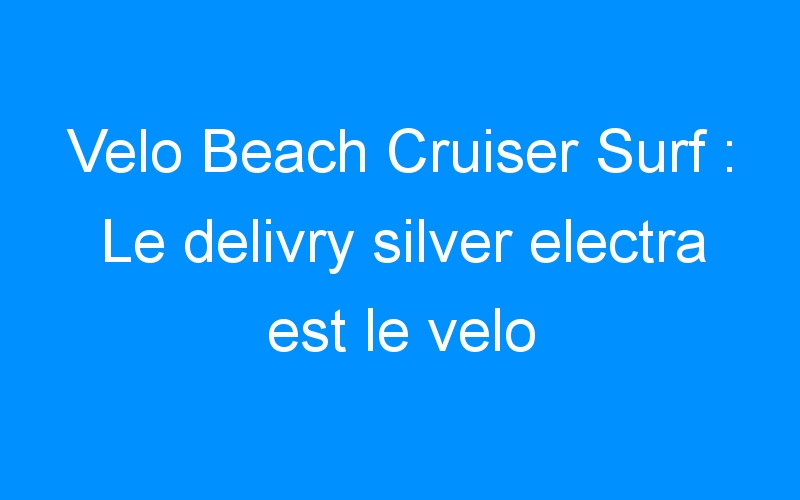 You are currently viewing Velo Beach Cruiser Surf : Le delivry silver electra est le velo electra 2009