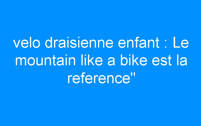 You are currently viewing velo draisienne enfant : Le mountain like a bike est la reference »