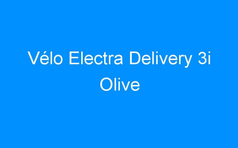 Vélo Electra Delivery 3i Olive