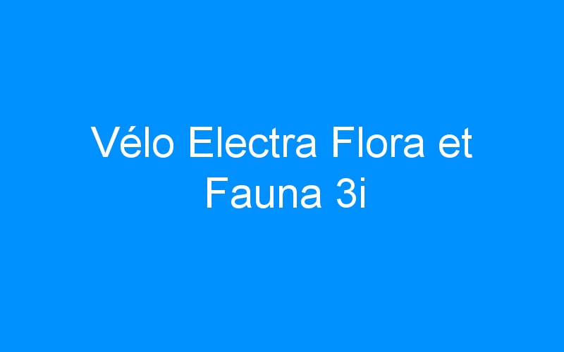You are currently viewing Vélo Electra Flora et Fauna 3i