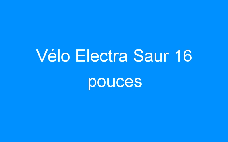 Vélo Electra Saur 16 pouces