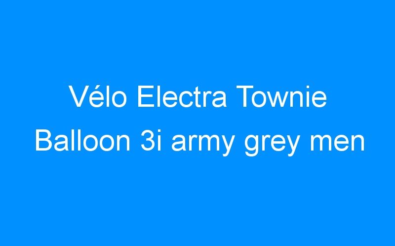 You are currently viewing Vélo Electra Townie Balloon 3i army grey men