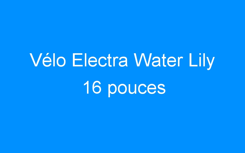 You are currently viewing Vélo Electra Water Lily 16 pouces