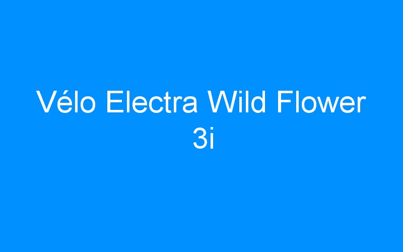 You are currently viewing Vélo Electra Wild Flower 3i