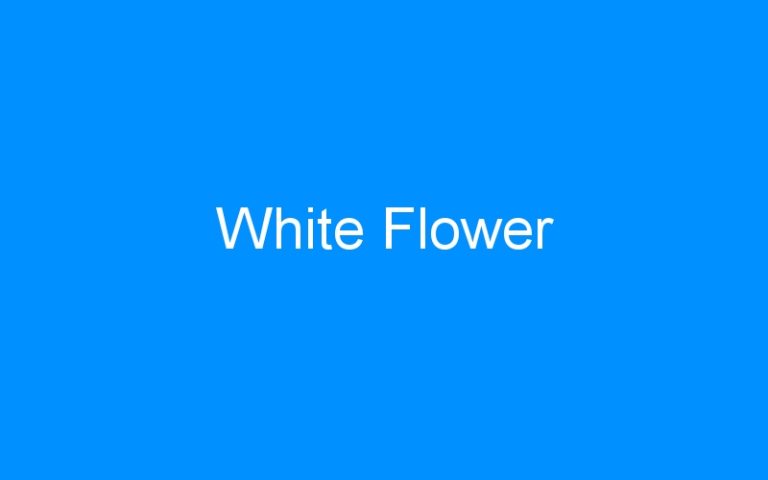 Lire la suite à propos de l’article White Flower