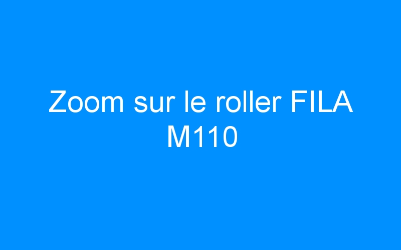 You are currently viewing Zoom sur le roller FILA M110